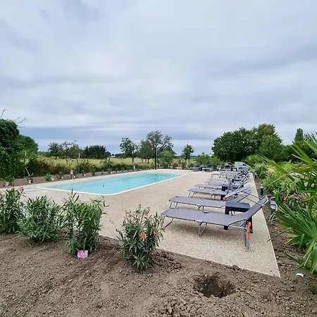 Les Piafs Du Der 2