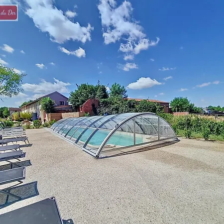 Les Piafs Du Der 2 Joncreuil