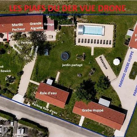 Les Piafs Du Der 2 * Joncreuil
