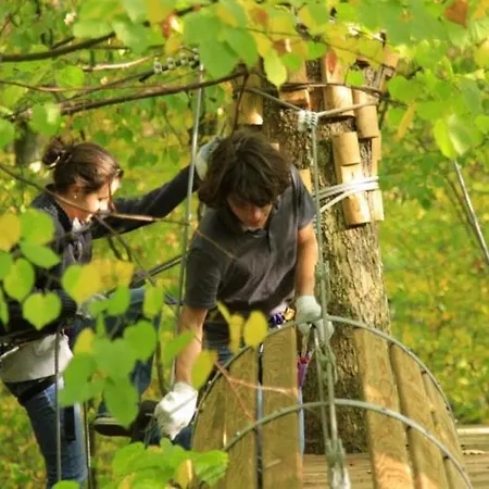 Les Piafs Du Der 2 Joncreuil