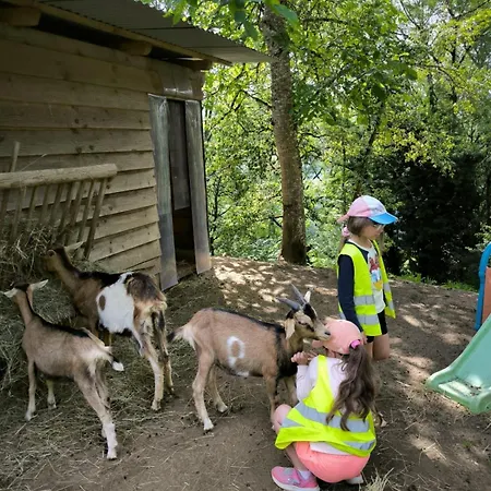 Ferienhaus Les Piafs Du Der 2 Joncreuil