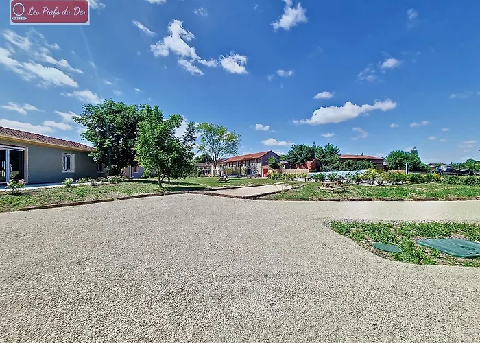 Les Piafs Du Der 2 * Joncreuil