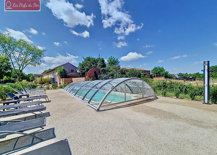 Les Piafs Du Der 2 Joncreuil